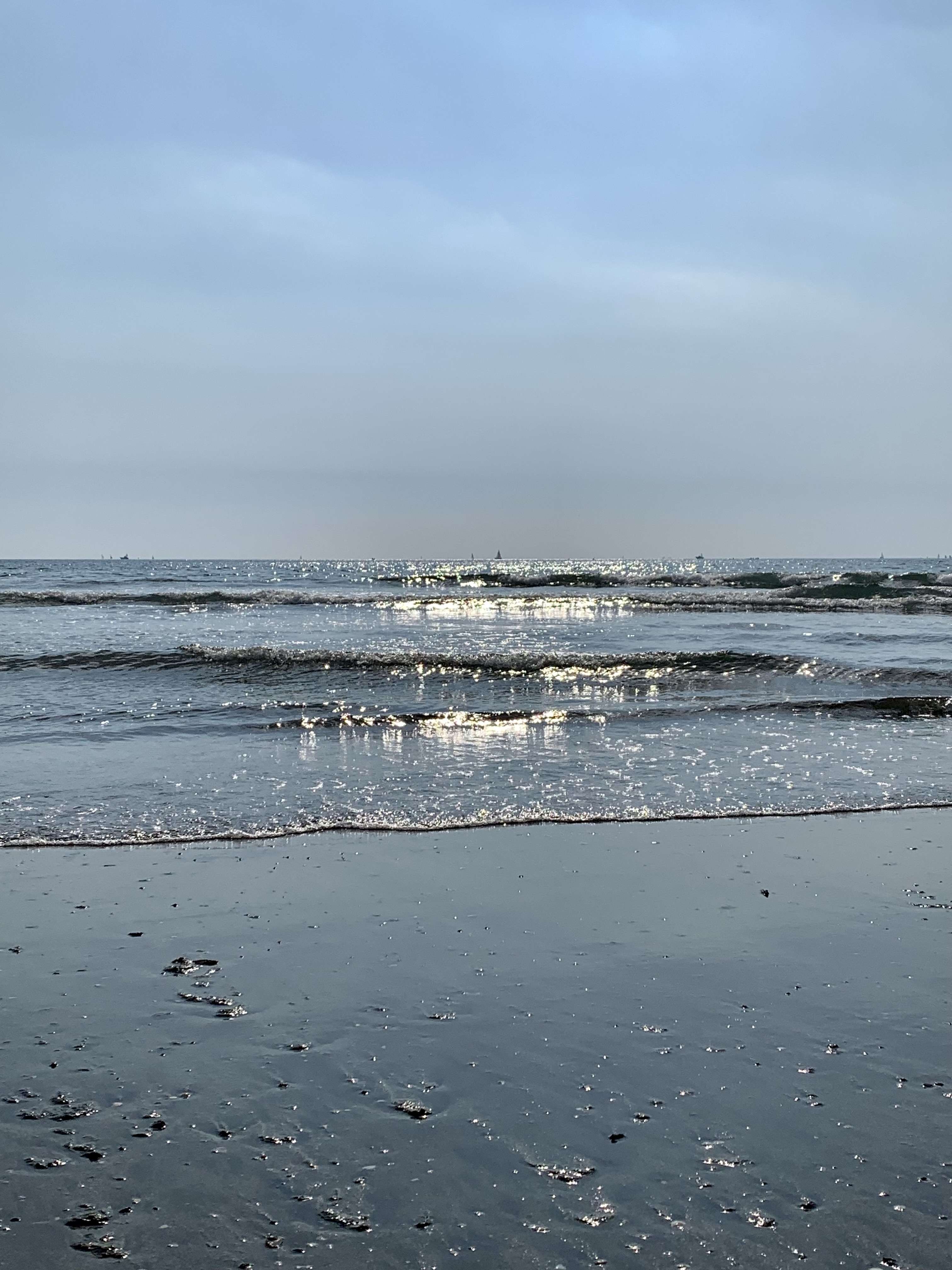 IMG_5038.jpeg