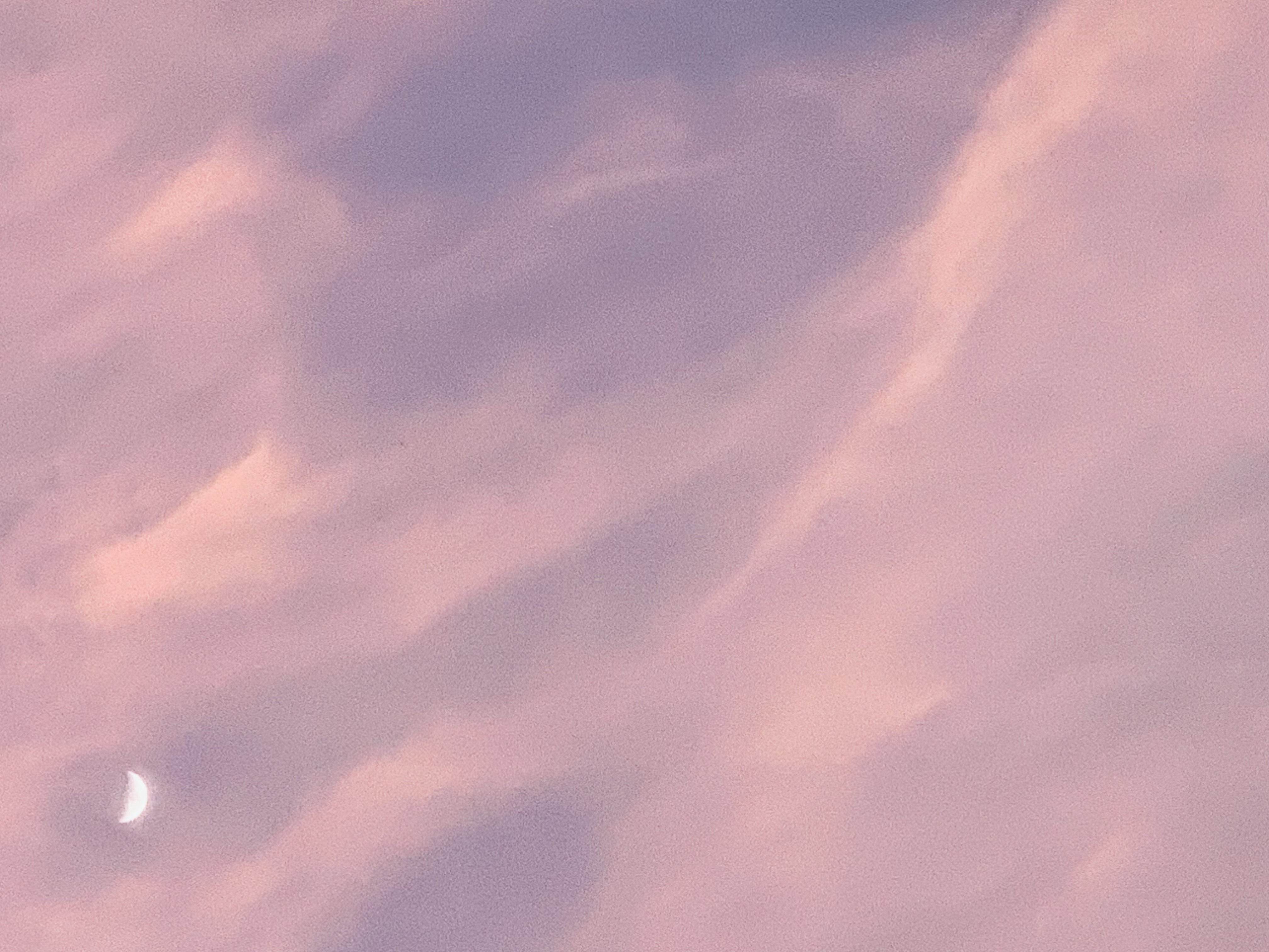 IMG_5297.jpeg